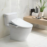 Bidet for Toilet, Adjustable Warm Seat, Air Dryer, Warm Water & Pressure