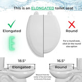 Toilet Seat, Standard Economy Model, Light Weight