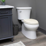 Toilet Seat with Easy Clean & Change Hinges