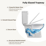 Toilet for Bathroom, Los Flexi Elongated Bowl & Comfort