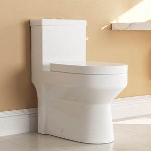 Toilet For Bathroom, Dual Flush Toilet with Soft Closing Seat