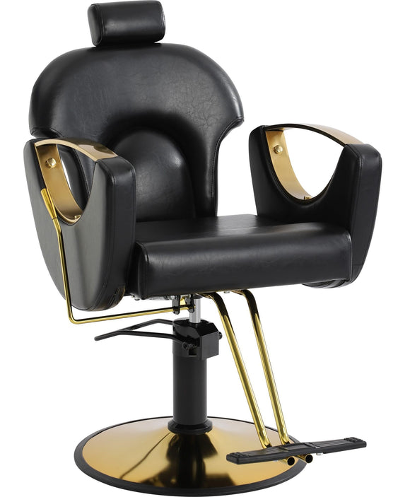 Barber Chair, Salon Chair for Hair Stylist, Height Adjustable Hydraulic Hair