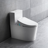 Bidet Seat for Elongated Toilets with Wireless Remote, Instant Heated Water