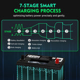 35Amp Car Battery Charger, 12V 35A/24V 18A Lithium LiFePO4 Lead Acid AGM/Gel/SLA.. Battery Desulfator