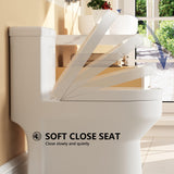 Toilet For Bathroom, Dual Flush Toilet with Soft Closing Seat