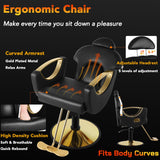 Chair for Hair Stylist, Hydraulic Barber Chair Hair Chair