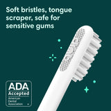 Toothbrush for Adults - Timed Electric Toothbrush with Cover - Replaceable