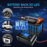 20 Amp Lithium Battery Charger, 12V and 24V Lifepo4,Lead-Acid(AGM/Gel/SLA..) Portable Car Battery Charger, Battery Maintainer,