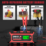 6 Amp Smart Battery Charger, 6V and 12V Trickle Charger and Maintainer for Lead-Acid Battery, Up to 150Ah