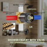 Black Shower Head and Handle Set, Shower