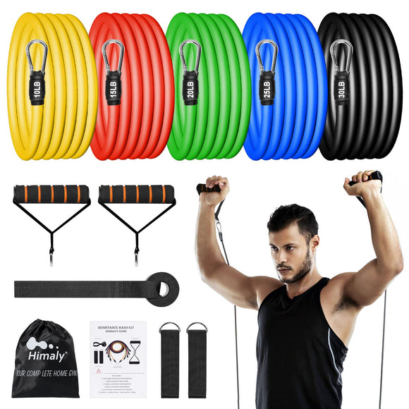 Resistance Bands Set (12pcs), Workout Bands with Handles, Door Anchor, Ankle Straps and Carry Bag, Exercise Bands for Shape Body and Home Workouts AGM