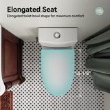 Toilet with Soft Close Seat, High-Efficiency Supply, Standard Bathroom