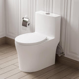 Toilet with Soft Close Toilet Seat, 12'' Rough-In Toilet