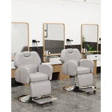 Salon Chairs for Hairdressers,Multi-Purpose Salon Chairs with Heavy Duty Steel Frame, Shampoo Salon Chair