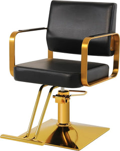 Salon Stylist Chairs, Hydraulic Pump Hairdresser Chairs, 360° Swivel, Beauty Equipment