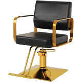 Salon Stylist Chairs, Hydraulic Pump Hairdresser Chairs, 360° Swivel, Beauty Equipment