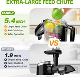 Cold Press Juicer, 5.4" Extra Large Feed Chute Fit Whole Fruits & Vegetables, 350W Professional Slow