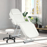 Massage Salon Tattoo Chair Esthetician Bed with Hydraulic Stool,Multi-