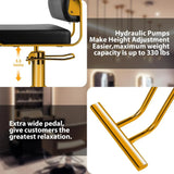 Salon Stylist Chairs, Hydraulic Pump Hairdresser Chairs, 360° Swivel, Beauty Equipment