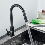 Black Kitchen Faucet Two Function Single Handle Pull Out Mixer  Hot and Cold Water