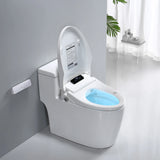 Smart Electric Toilet Bidet Seat Hygienic Pastic Lid