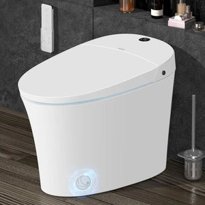 Smart Toilet, Heated Seat,Dual Auto Flush,Modern